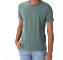 CAMISA BÁSICA SLIM VERDE SAGE 5611 - OGOCHI 